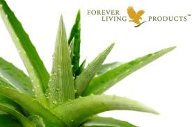 forever living products